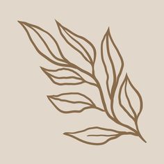 the outline of a leaf on a beige background