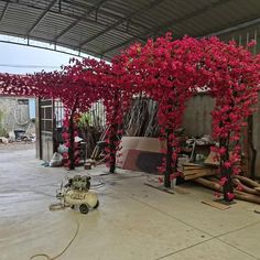 red flowers growing on the side of a building with a vacuum in front of it