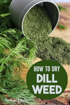 Dehydrated Herbs In Dehydrator, Dehydrated Dill, Dehydrating Food Storage, Drying Fresh Herbs, Food Dehydration, Dehydrating Food