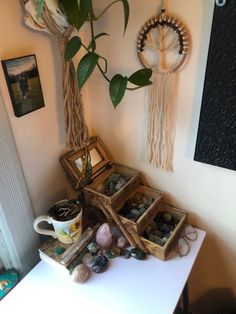 a white table topped with lots of rocks and plants next to a wall mounted clock