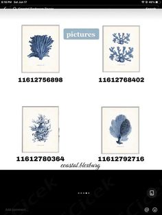 an image of some blue seaweed on a white background with the words pictures below it