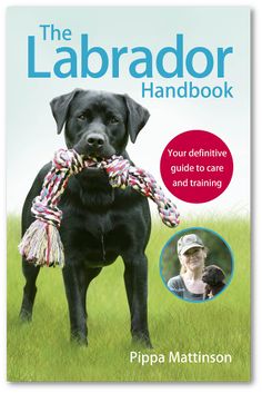 the labrador handbook your definitive guide to care and training