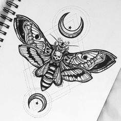 a black and white drawing of a moth on a piece of paper with the moon in the background