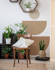 some houseplants are hanging on the wall near a chair and table with a pillow