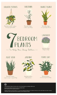 a poster with different types of house plants