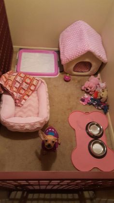 there is a dog bed and some toys on the floor