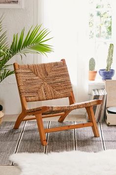 a wooden chair sitting in front of a window next to a potted palm tree