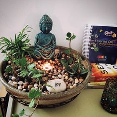 a buddha statue sitting on top of a bowl filled with rocks and plants next to a book