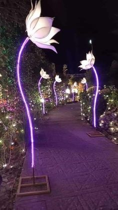 some lights are lit up in the shape of flowers and leaves on a path between trees