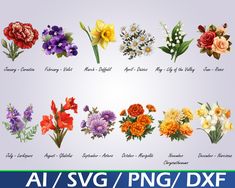 an image of different flowers that are in the same color and size as shown on this page