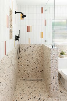 a bathroom with a toilet, shower head and tiled walls in it's corner