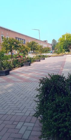 national textile university faisalabad || ntu fsd the view of faisalabad national textile university fsd ntu  #fsd #ntu #university International University, Travel Pictures Poses, Pictures Poses, Picture Poses, The View, Travel Pictures, Agriculture