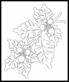 two oak leaves and acorns are shown in this black and white drawing on paper