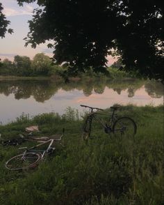 a bike is parked next to the water near some trees and debris on the grass