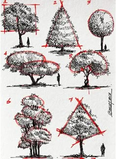 how to draw a tree with pencils and ink on paper, step by step