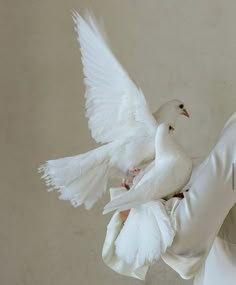 a person holding a white bird in their hands with its wings spread out and it's eyes closed