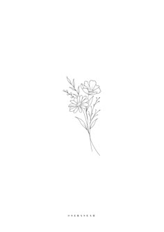 a line drawing of flowers on a white background