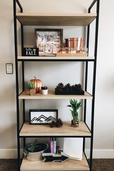 the shelves are filled with plants and other things to put on them for halloween decor