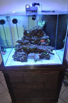 a fish tank with some plants and rocks in it