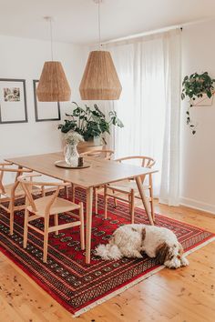 a dog laying on the floor in front of a dining room table with chairs and rug