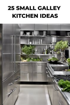 Modern stainless steel galley kitchen with open shelves and green plants for decoration. Luxury Galley Kitchen, Kitchen No Window, Fantasy Kitchen, Corridor Kitchen