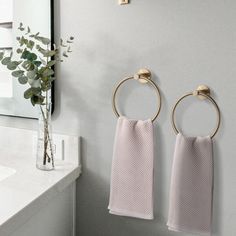 two towels hanging on the wall next to a bathroom sink with gold rings and hooks