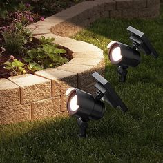 two spotlights on the ground in front of a flower bed with flowers and grass