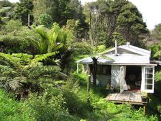 a small house in the middle of some trees and bushes with a shed on it's side