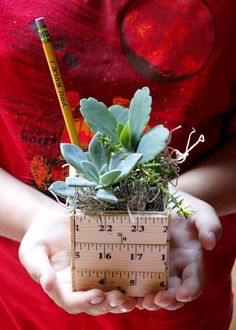 a person holding a plant and ruler in their hands