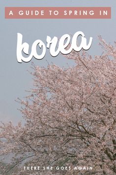 a tree with pink flowers and the words borea in white on it's side