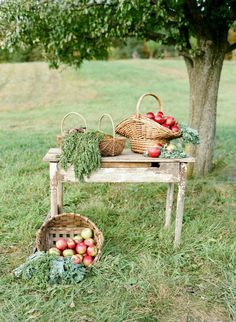 an old wooden table with apples and vegetables on it in front of a large tree