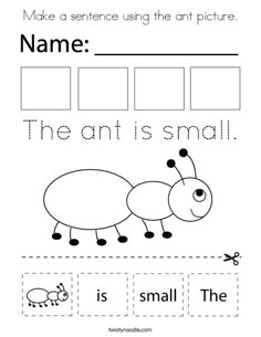 an insect worksheet for children to learn how to write the word name,