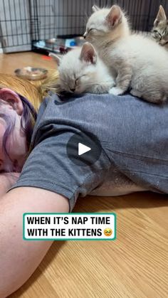 383K views · 16K reactions | Nap time with the kittens | Don't wake them 🫣😭 | By Furry Tails | Facebook