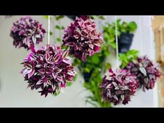 purple flowers hanging from strings in front of a white wall