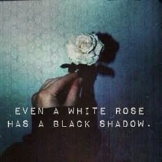 a hand holding a white rose with the words even a white rose has a black shadow