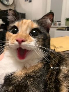 a calico cat with its mouth open and it's tongue out looking at the camera