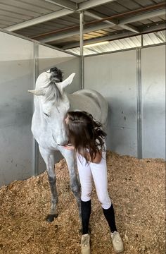 horse girl showjumping aesthetic Horse Owner Aesthetic, Horse Aesthetic Pictures, Showjumping Aesthetic, Showjumping Horse, Horses Aesthetic