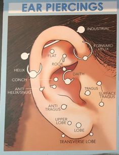 the ear piercings are labeled in several different languages