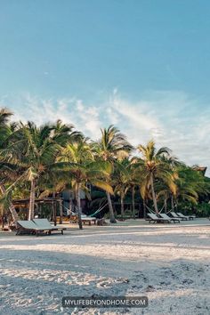 All you need to know before to go Isla Holbox and the best things to do in the Island Couples Travel, Yucatan Peninsula, Home Board, Island Vibes, Travel Couple, Travel Adventure, My Travel, Cancun