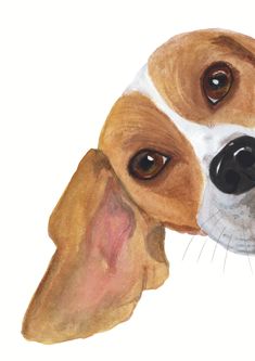 a drawing of a dog's head with brown and white spots on its face