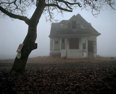 an old house sitting in the middle of a foggy field next to a tree