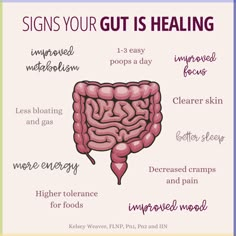 It takes a lot of work to heal the gut! The key is consistency and patience. It took a long time for your gut to be out of balance. So be patient with your body, and continue through strategies that makes sense for your symptoms. You will most likely feel better in some areas, while others may take longer. And that's OK! Adopting a healthy lifestyle that last for the rest of your life is the key to health and longevity. Heal Your Body With Food, Healing Gut Health, Heal The Gut, Gut Health Diet, Gut Health Recipes, Healthy Hormones, Feminine Health, Leaky Gut, Hormone Health