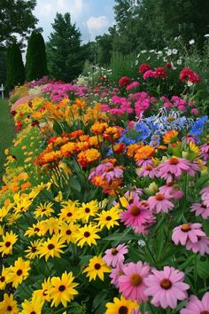 many different colored flowers in a garden