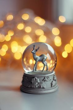 a snow globe sitting on top of a table