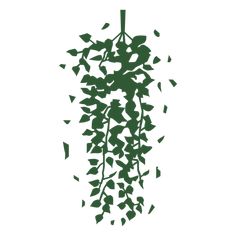 Ivy cut out plant PNG Design