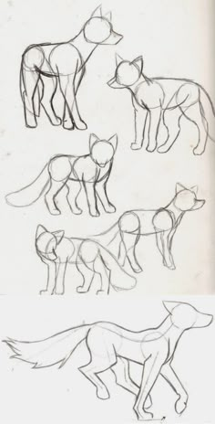 four different types of animals are shown in this drawing