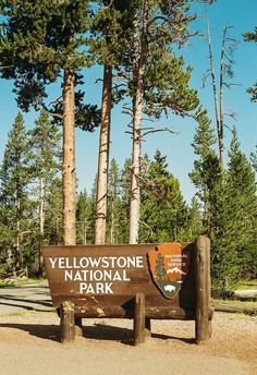 a sign for yellowstone national park in front of some tall pine trees and dirt road