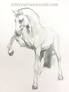 a pencil drawing of a horse standing on its hind legs with one leg in the air