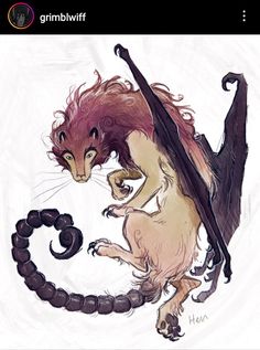 a drawing of a dragon and a cat with long hair on it's back