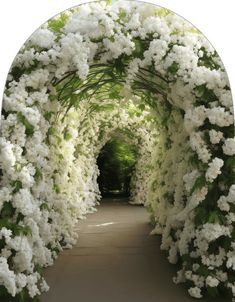 an archway covered in white flowers and greenery